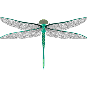 Dragonfly PNG-26280